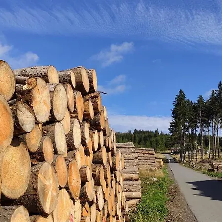 Harz Blick