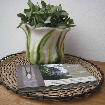 Harz Blick Apartamento Braunlage