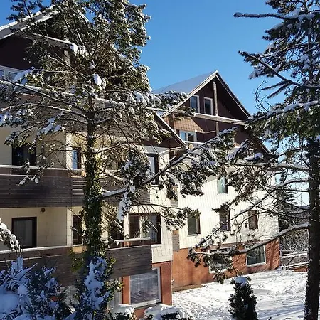 Harz Blick Braunlage