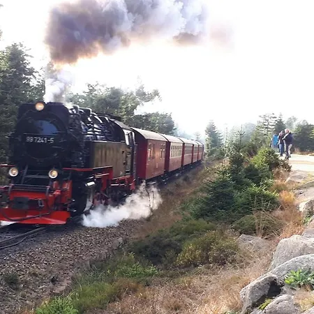 Harz Blick