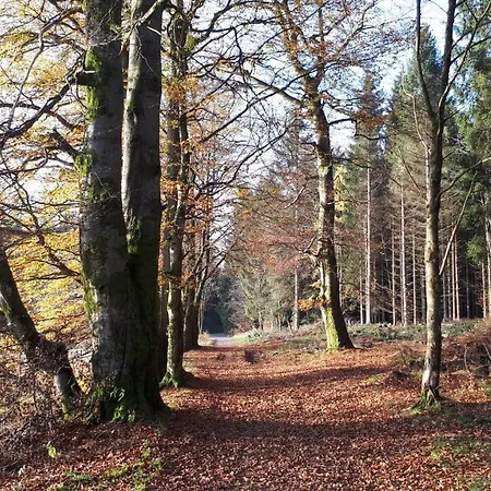 Harz Blick * Braunlage